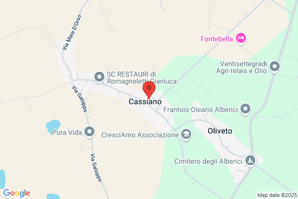 Levi Servizi Pulizie Professionali