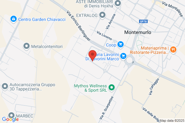 Pegaso (S.A.S.)