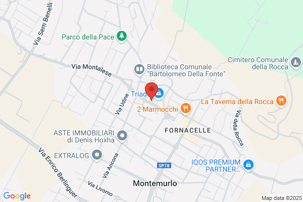 Immobiliare Del Monte (S.R.L.)