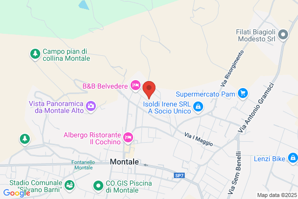 Edilpea Srl