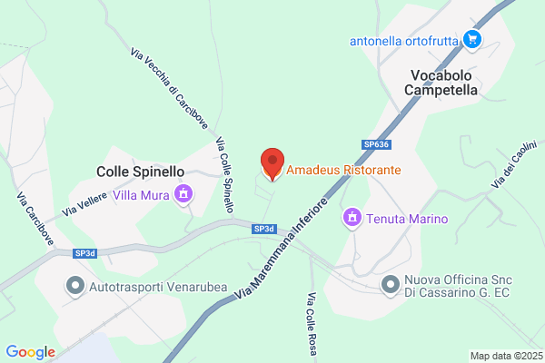 Ristorante Pizzeria Amadeus Di Totilo Franco