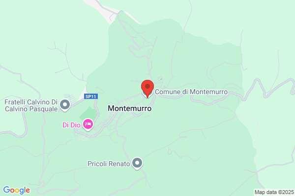 Municipio
