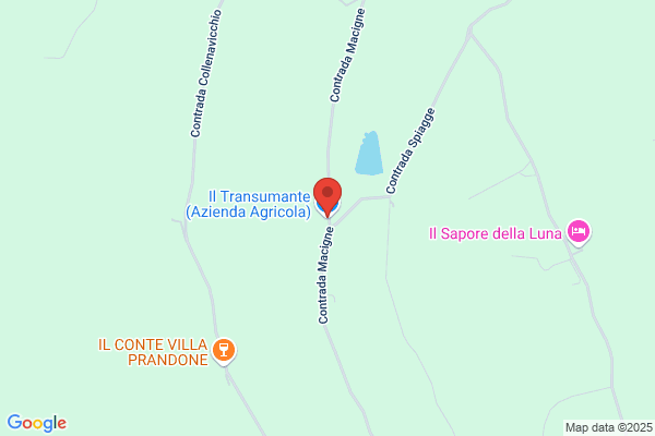 Ente Regione Marche