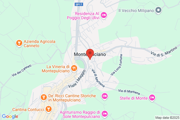 Hotel Granducato