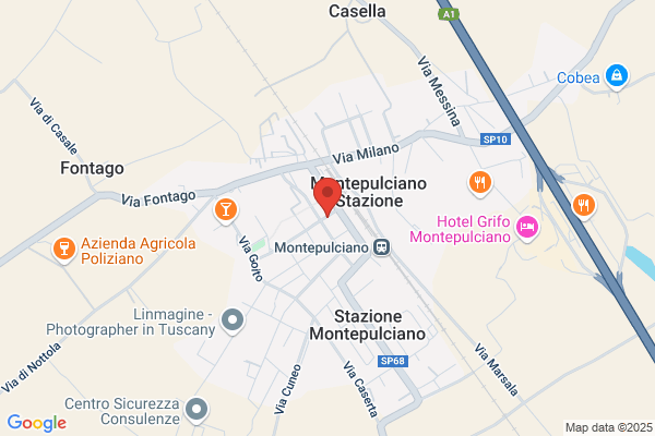 Ortopedia Sanitaria Maneschi Snc