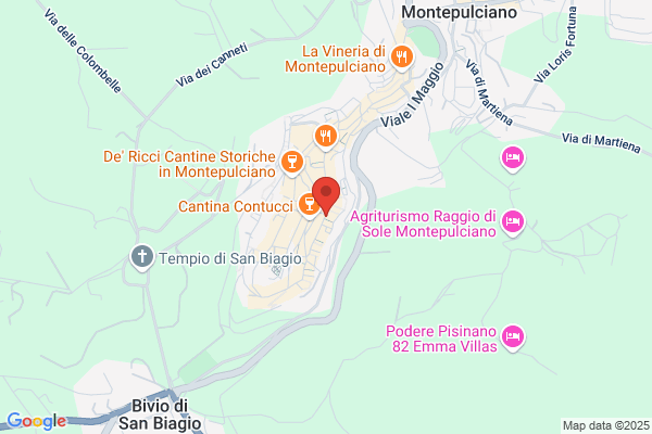 Fiori E Piante Langolo Fiorito