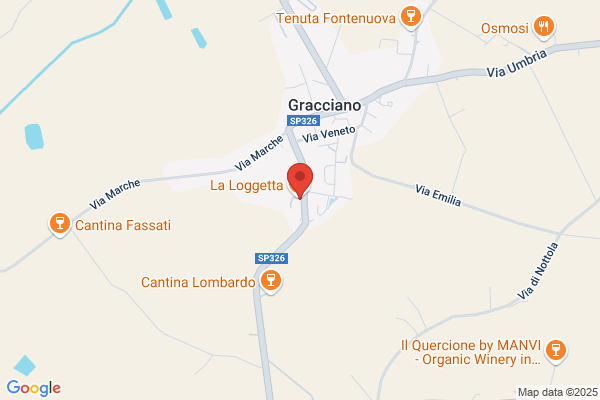 Piante E Fiori Lorchidea