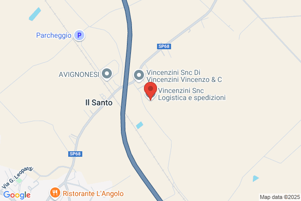 G.V.M.G.Snc Dini M. E Paolini F.