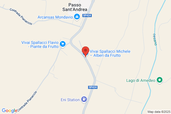 Spallacci Marco