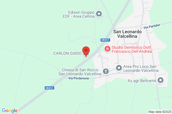 Carlon Guido S.N.C.
