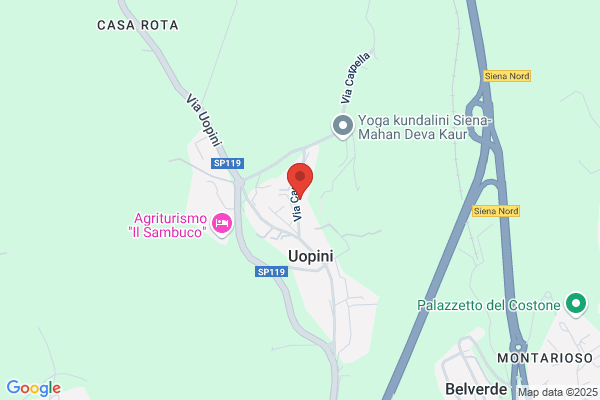 Ristorante Pizzeria Villa Opini