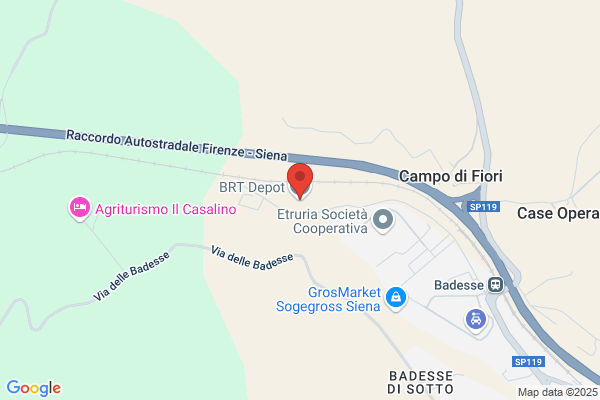 Corriere Bartolini (S.P.A.)