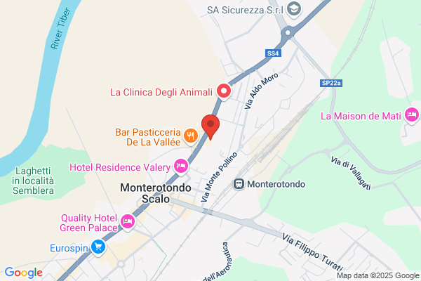 Unione Sportiva Monterotondo Sc