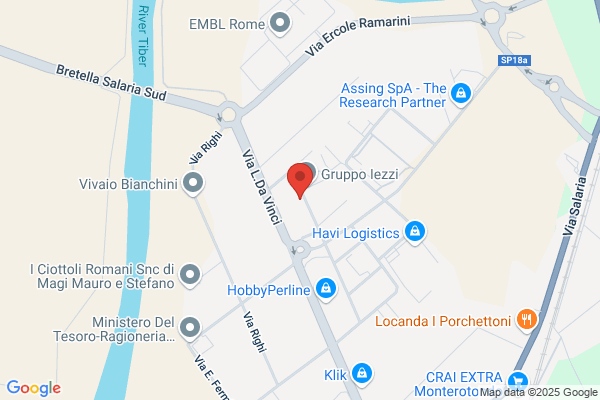 Vivitalia International