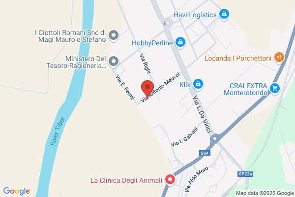 Legnami Paioletti Srl