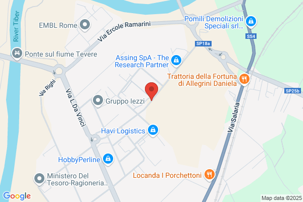 Impresa Chiarelli Srl