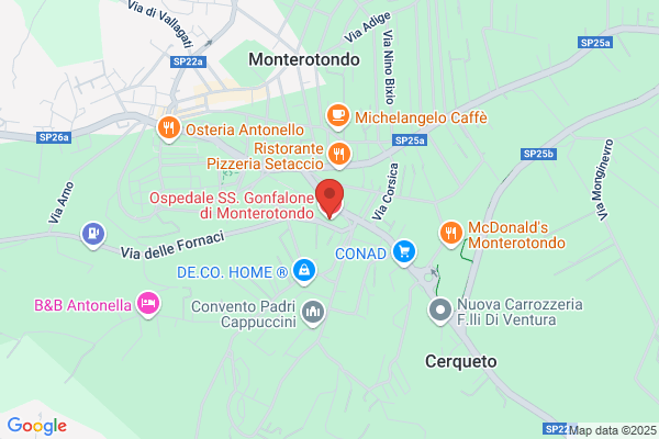 Merloni Elettrodomestici Spa