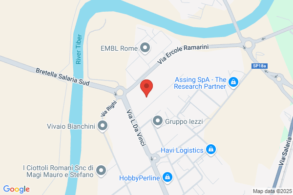 Autonoleggi Canestri