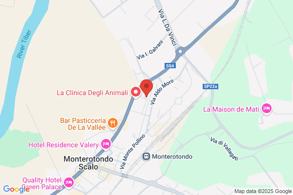 Renzi roberta