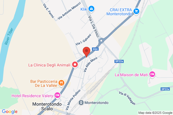 Motorfrance Srl