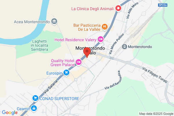 Dar Pizzettaro - Pizzeria Consegne a Domicilio