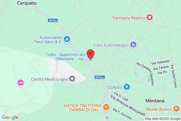 Todis - Supermercato (Mentana - via Amendola)