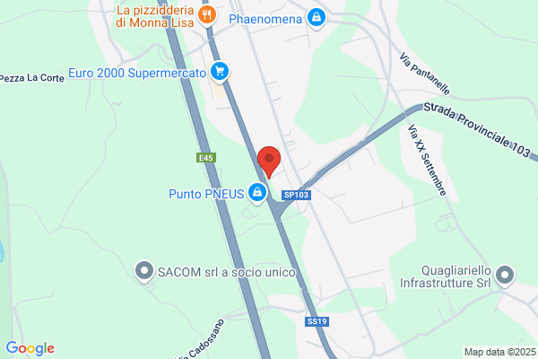 Rotella teresa (Arch.)