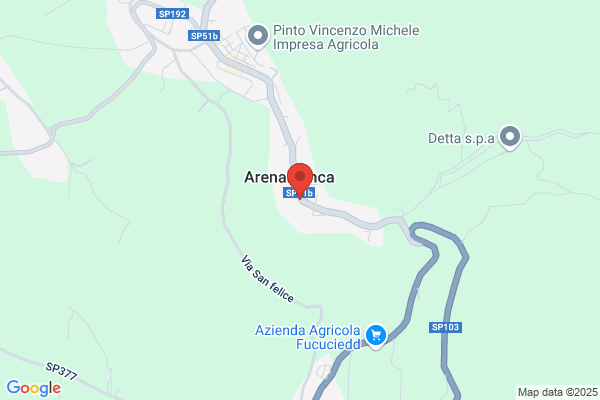 Spina michele
