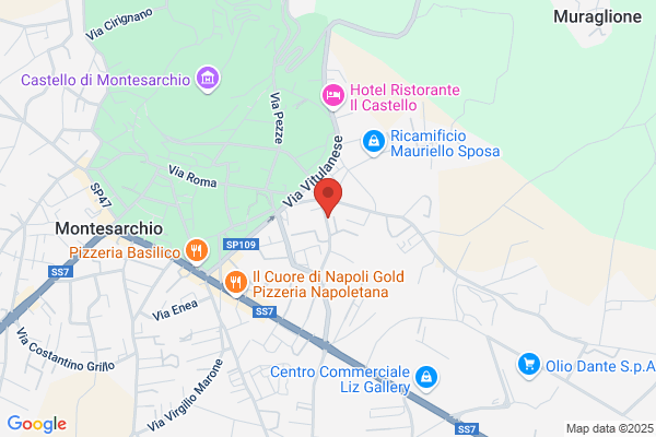 Istituto Professionale Stato Servizi Comm.E Turist.A.Moro