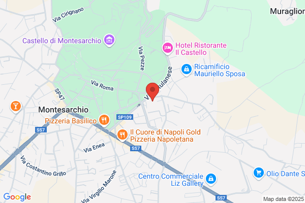Liceo Scientifico E.Fermi
