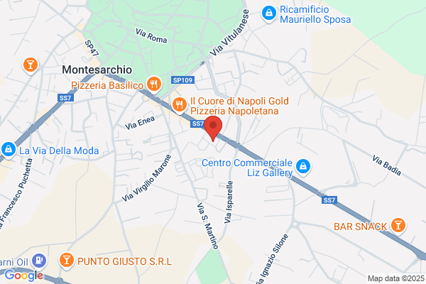 Mondialpol Security Srl