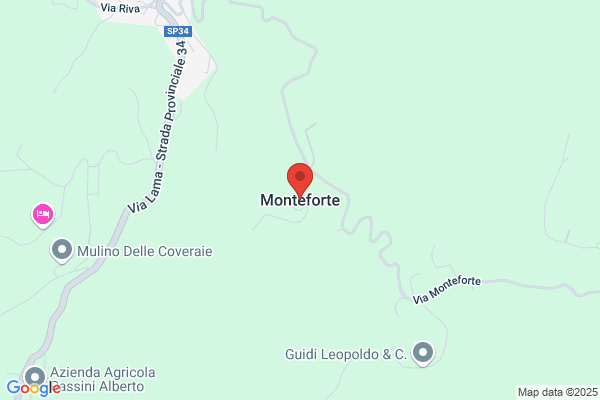 Monteforte Srl