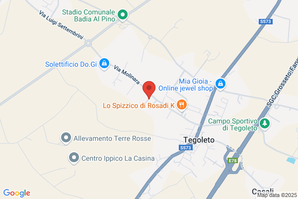 Picchioni Srl