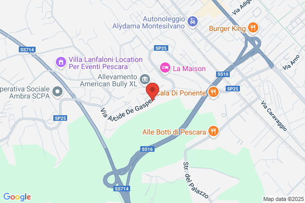 Vignoni aldo