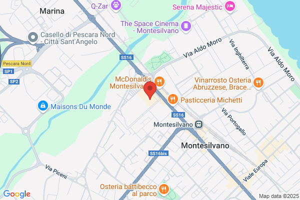 Gatto Michele