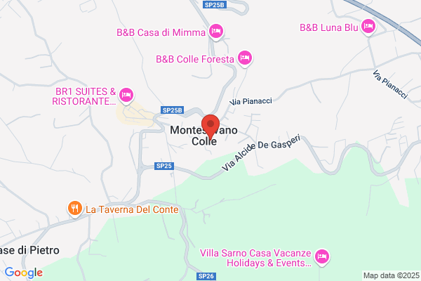 Impresa Salfer Srl