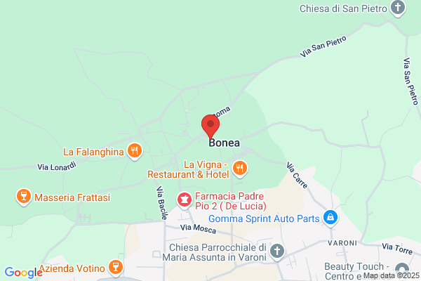 Ristorante Il Ritrovo Degli Amici