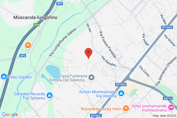 Dantonio Autotrasporti Srl