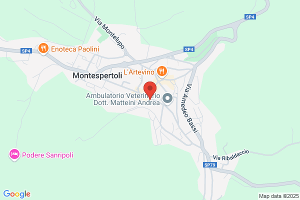 Scuole Pubbliche