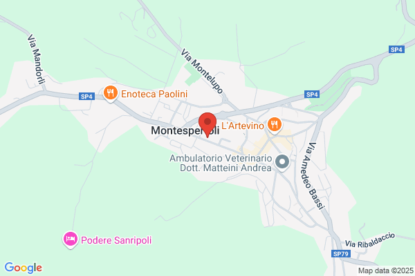 Mugelli Assicurazioni Srl