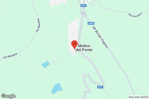 Nencioni elena