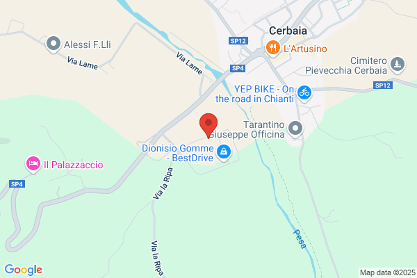 Artistic Carving Reparto Ferro