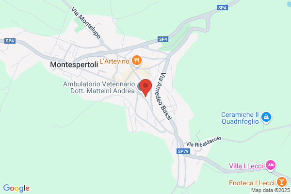 Mitisapa Srl