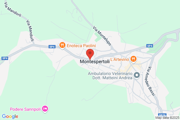 Estro Fiorentino (S.R.L.)