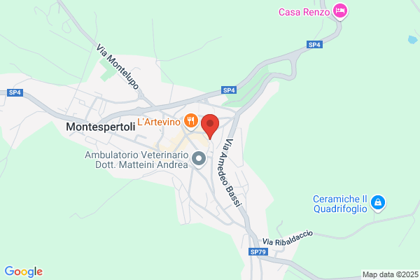 Panchetti marco