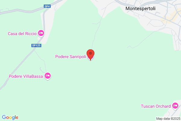 Publiser Spa