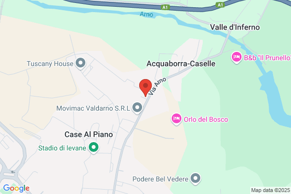 Tassini anna