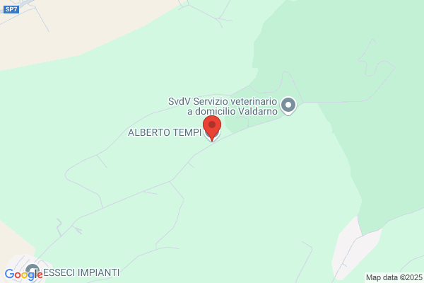 Tempi alberto (Geom.)