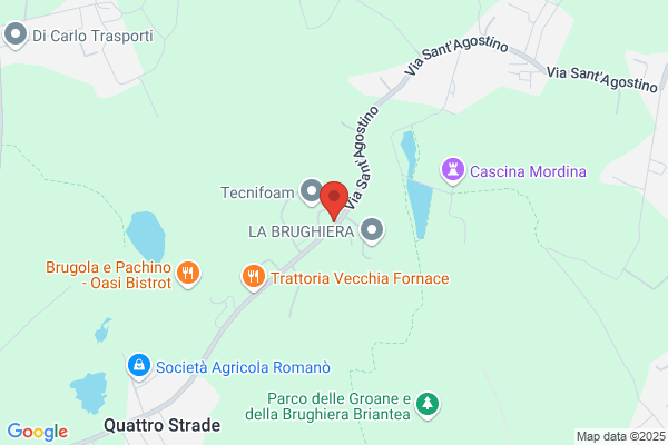 Distrifood Srl