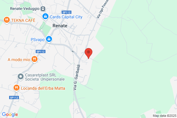 Mapelli renato